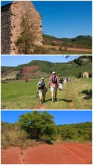 Le Rougier de Camarès