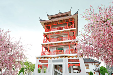 Red Building and Sakura flowers