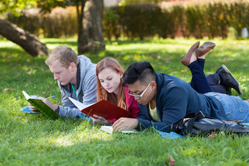Young people studying in the park