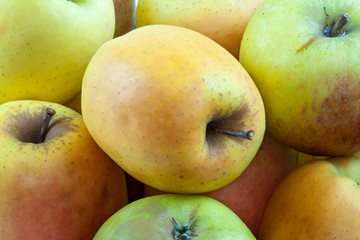 Pommes Tentation - Malus domestica - en vrac 