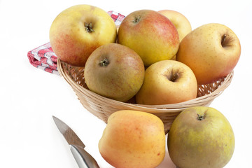 Pommes Tentation - Malus domestica - en vrac dans une corbeille