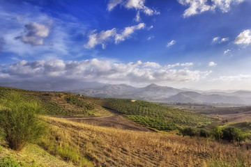 Fototapeta na wymiar panorama of fields and olive groves in Sicily