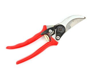 Red garden secateurs