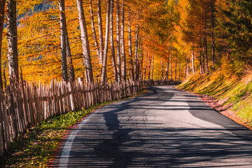 Autumn road