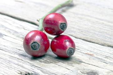 Detail of red rose hips