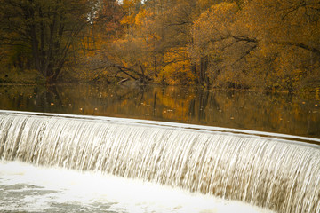 golden autumn on the lake.