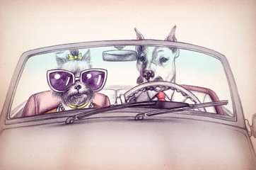 Dogs in car .fashion animals .watercolor illustration