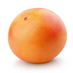Single grapefruit citrus fruit isolated on white