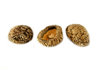 Shiitake mushrooms