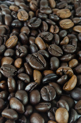Coffee beans
