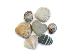 several shells and stones isolated on white background