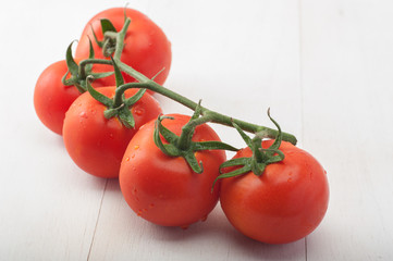 Tomato Vine