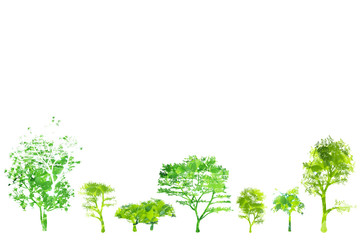 Obraz premium 木のイメージ 樹木 新緑 