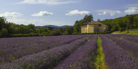 Fototapeta na wymiar Provence, Luberon, Viens St Ferreol