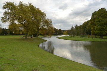 Ciel d'automne au parc de Tervuren