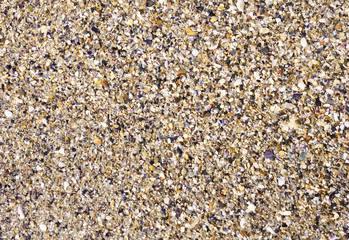 Wet sand with crushed sea shells