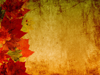 Fall leaves grunge background