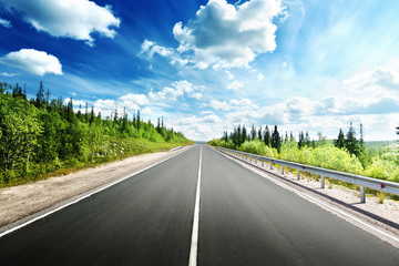 road in north forest