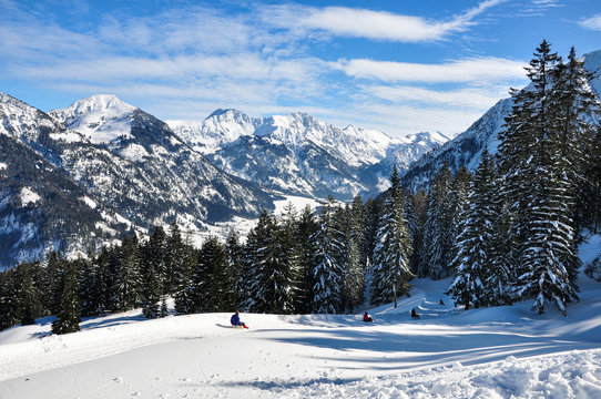 winter landscape