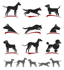 Dogs set. Vector