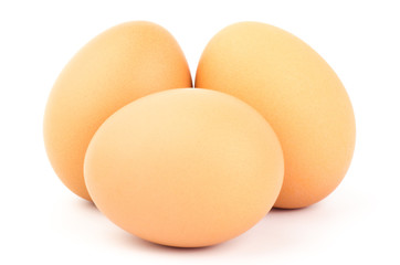 Egg