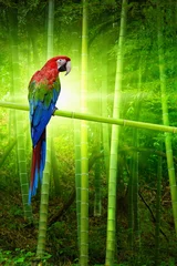 Foto op Canvas Grote papegaai © IgorZh