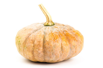 Fresh pumpkin