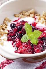 Closeup von Frühstückszerealien mit Obst und Joghurt