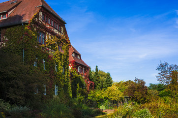 Fototapeta na wymiar House with Autumn foliage