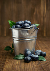 ripe blueberries in a metal bucket