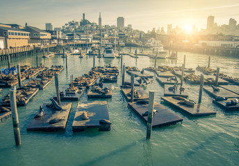 Pier 39,San Francisco