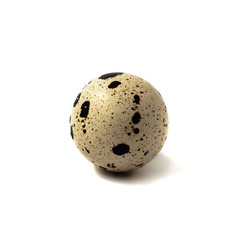 one quail eggs white isolated