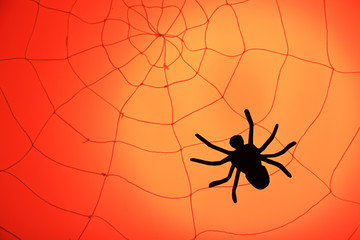 Spider on web. Halloween decoration concept