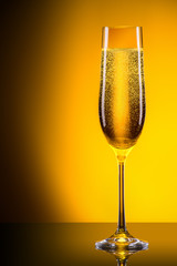 luxury glass of champagne