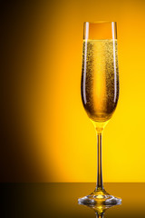 luxury glass of champagne