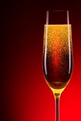 luxury glass of champagne