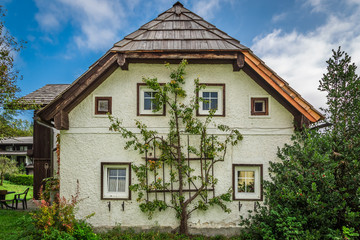 Small cottage in the Alps with a tree