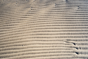 A background texture of unrefined, damp and grainy natural golde