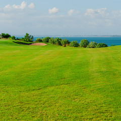 Fototapeta na wymiar Golf club and ball in grass