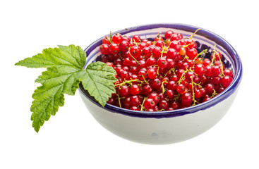 Red currant