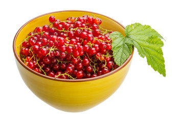 Red currant
