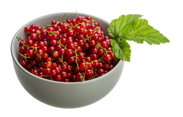 Red currant