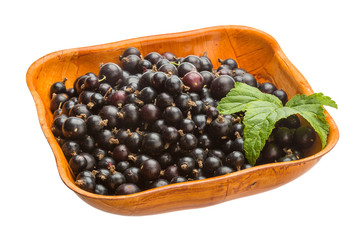 Black currant
