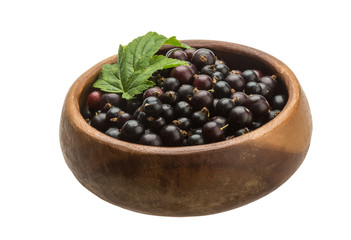 Black currant