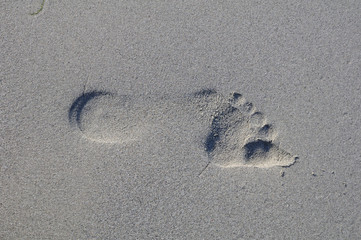 Trace de pied dans le sable mouillé