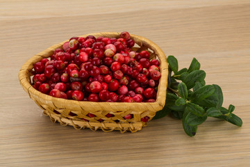 Cowberry