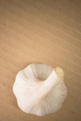 garlic