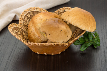 Boletus mushroom