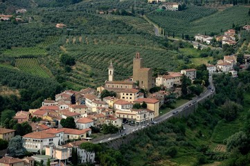 Naklejka premium Vinci-Italy