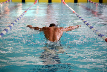 Swimmer in the swimming pool